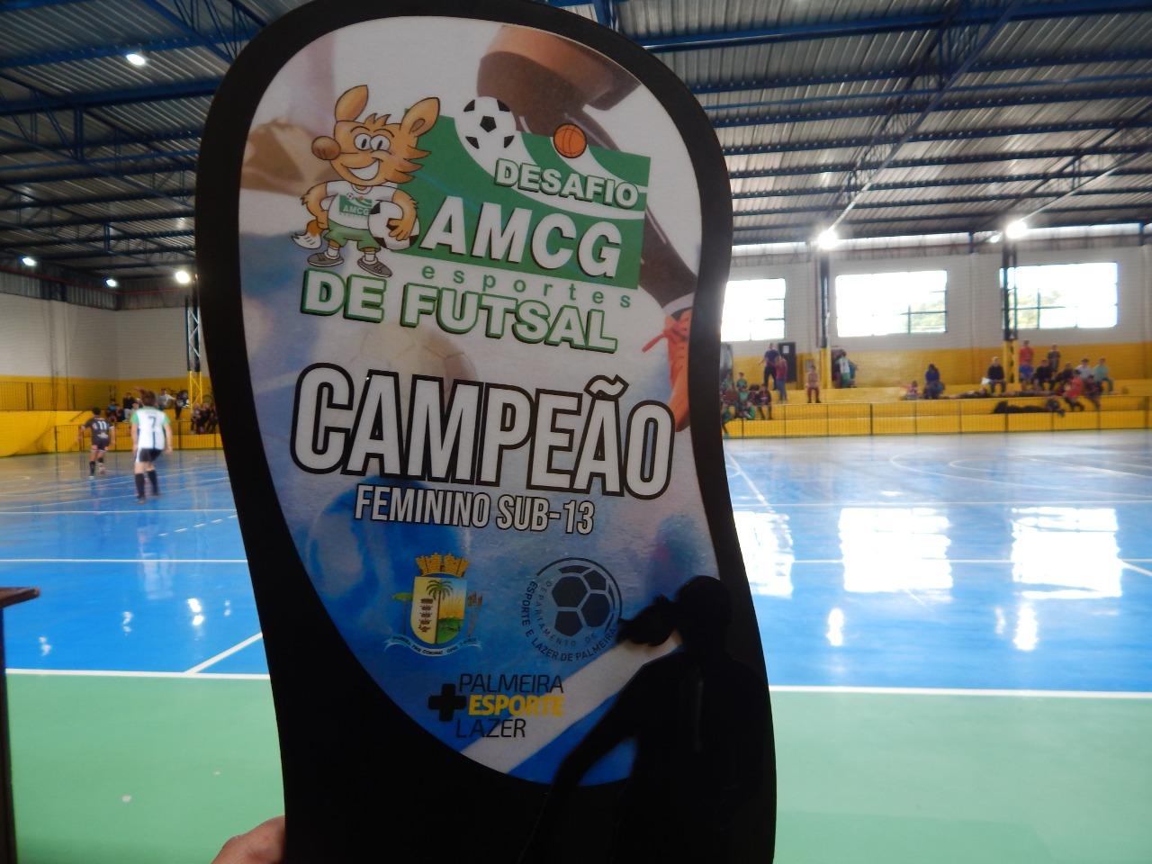 Ventania sedia Desafios de Futsal da AMCG